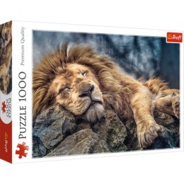 TREFL 10447 Puzzle 1000 el. Śpiący lew