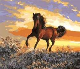 Malowanie po numerach 40x50cm Koń i zachód słońca 1008871
