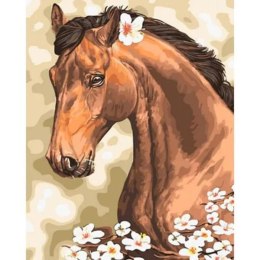 Malowanie po numerach 40x50cm Koń z kwiatkiem za uchem 1007666