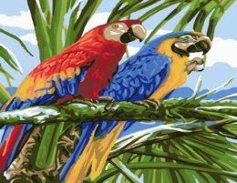 Malowanie po numerach 40x50cm Papugi Ara na gałęzi 1008934