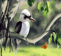 Malowanie po numerach 40x50cm Ptak Kukabura na gałęzi 1008963