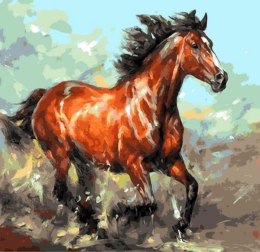 Malowanie po numerach 40x50cm Koń brązowy w galopie, malarstwo 1008870