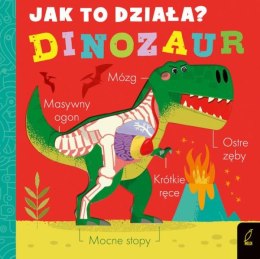 Książeczka Jak to działa? Dinozaur