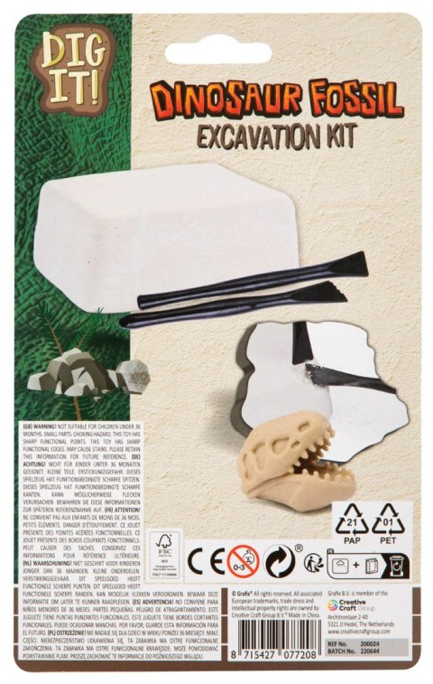 DIG Wykopaliska kopalne