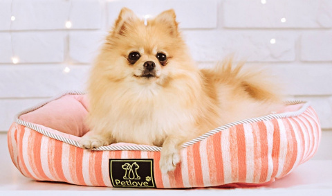 Petlove Legowisko dla psa lub kota 47x39x12 cm - różowy