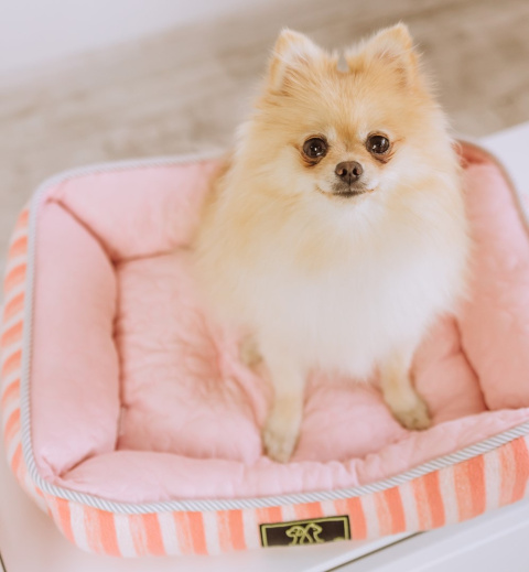 Petlove Legowisko dla psa lub kota 47x39x12 cm - różowy