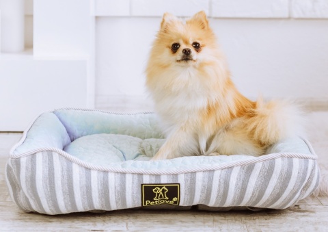 Petlove Legowisko dla psa lub kota 61x50x14 cm - niebieski