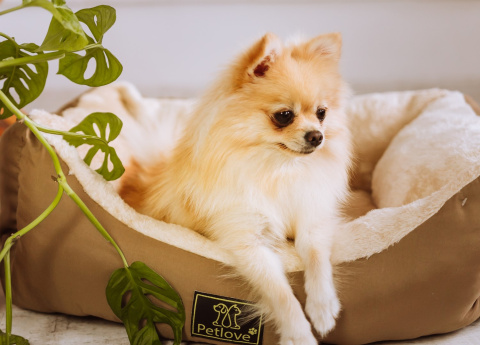 Petlove Legowisko dla psa lub kota 62x53x24 cm - brązowy