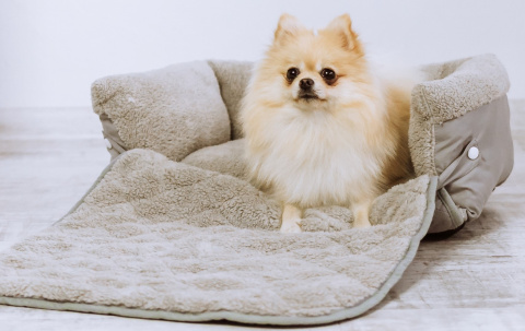 Petlove Legowisko dla psa z możliwością rozłożenia 70x50x15 cm (107 cm) - szare