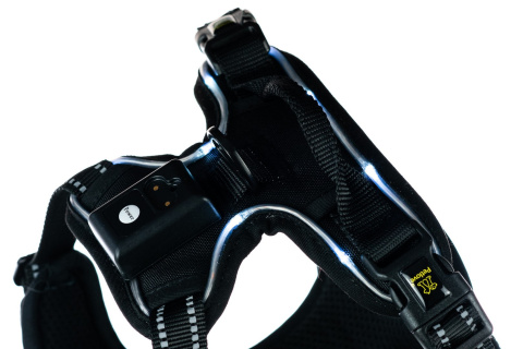 Petlove Szelki pełne LED świecące dla psa, regulowane S - Black