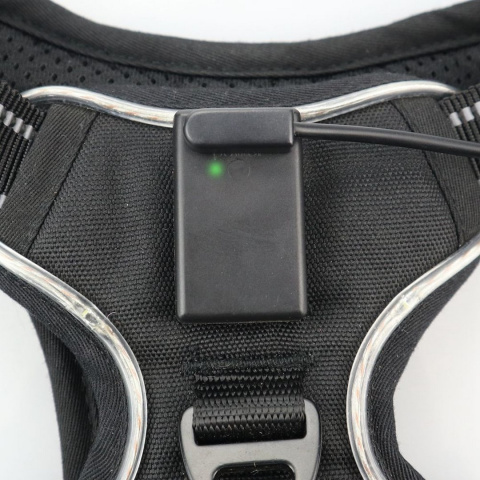 Petlove Szelki pełne LED świecące dla psa, regulowane S - Black