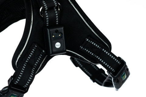 Petlove Szelki pjedyńcze LED świecące dla psa, regulowane M - Black