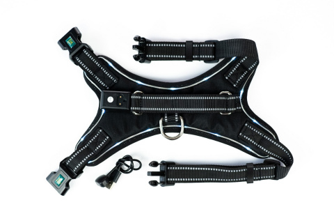 Petlove Szelki pjedyńcze LED świecące dla psa, regulowane M - Black