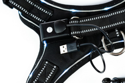 Petlove Szelki pjedyńcze LED świecące dla psa, regulowane S - Black