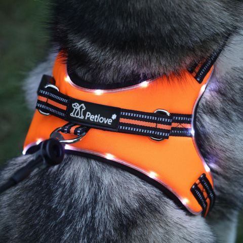 Petlove Szelki pjedyńcze LED świecące dla psa, regulowane S - Orange