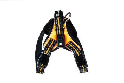 Petlove Szelki pjedyńcze LED świecące dla psa, regulowane S - Orange