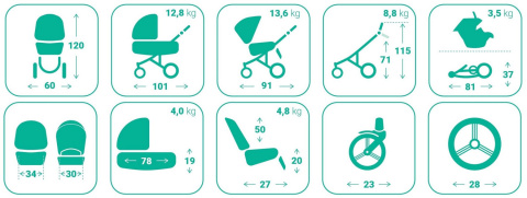 HOLLAND New Bebetto 2w1 wózek wielofunkcyjny głęboko-spacerowy 11/CZM