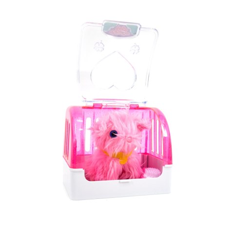 PIESEK DO CZESANIA W KOSZYCZKU