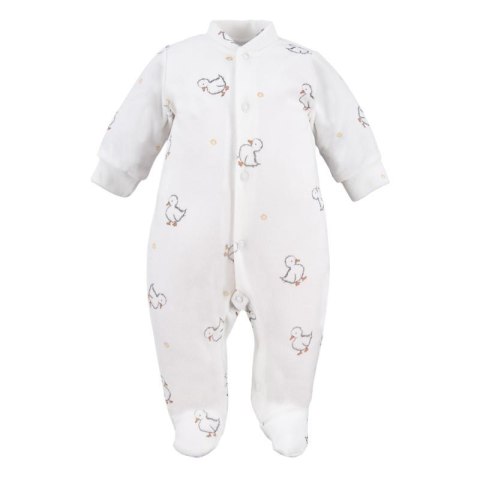 EWA 953807 LITTLE DUCKS Pajac welur druk ecru 68