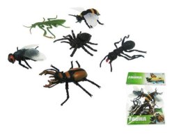 Insekty, pajęczaki 10cm 6szt KC6-006A