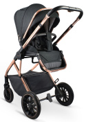 PRO ibebe 2w1 wózek wielofunkcyjny dla dzieci do 22 kg - PRO 01 Black - Gold frame