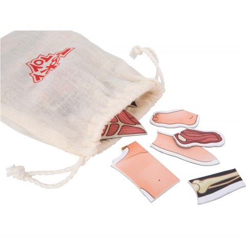 Tooky Toy Drewniane Puzzle Montessori Magnetyczne Nauka Anatomia Człowieka 78el.