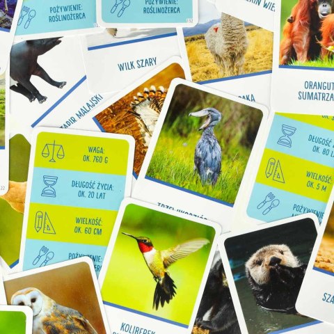 Gra edukacyjna Na tropie gra dla ciekawskich 8+ MULTIGRA Alexander