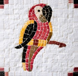 Mozaika MOSAIKIT Papuga