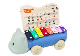 Cymbałki Hipopotam Na Kółkach Instrument Dla Dzieci Kolorowe Edukacyjne