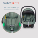 Colibro PETIT Fotelik samochodowy R129 0-13 kg - Pine