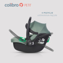 Colibro PETIT Fotelik samochodowy R129 0-13 kg - Pine
