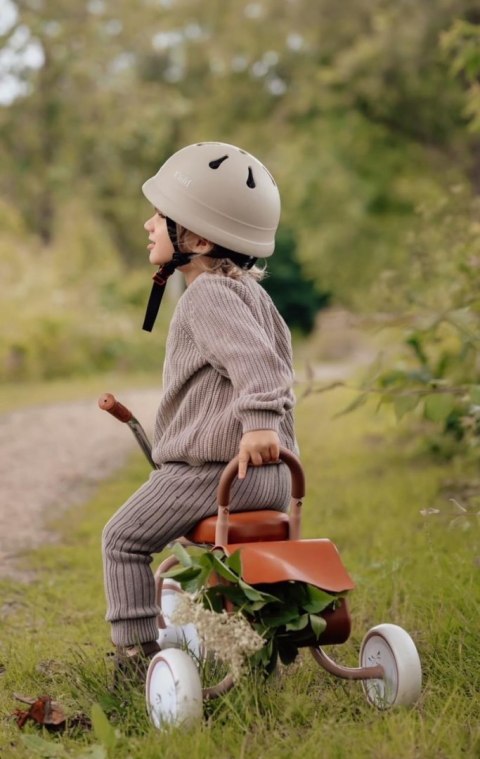 Rowerek dziecięcy trójkołowy Tricycle Pale Jade