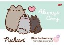 PLECAK SZKOLNY 4-KOMOROWY BP-06 Pusheen The cat Gold zestaw