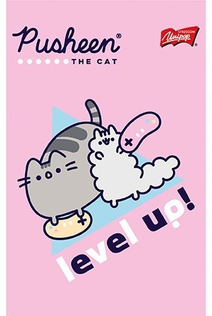 Notes notatnik A6 50 kartek kratka Kot Cat Pusheen