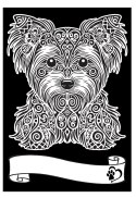 Kolorowanka Welw. A4 Yorkshire Terrier