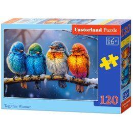 Puzzle 120el. together warmer