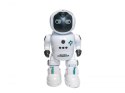 Inteligentny Programowany Robot sterowany pilotem gestem