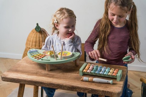 Drewniany zestaw instrumenty muzyczne DANTOY