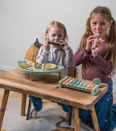 Drewniany zestaw instrumenty muzyczne DANTOY