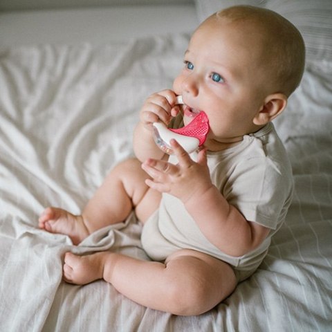 B.O.1593 Grzechotka z gryzakiem