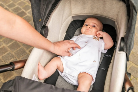 GRAN COMFORT Chicco Gondola do wózków Mysa i Bellagio - Black Satin