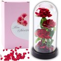 Wieczne 3 Róże w Kopule z Oświetleniem LED i Płatkami Róż Czerwone 21x11cm