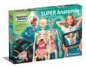 Naukowa Zabawa Super Anatomia Język Polski Clementoni 50919