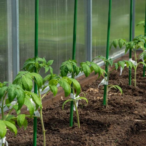 Tyczka palik podpora na pomidory ogórki kwiaty rośliny powlekane tyczki 120 cm 10 szt