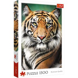 Puzzle - 