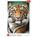 Puzzle - "1500" - Portret tygrysa Trefl 26204