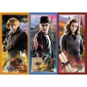 Puzzle - 200 - Harry Potter - W świecie magii i czarów - Trefl 13277