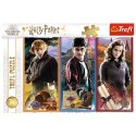Puzzle - 200 - Harry Potter - W świecie magii i czarów - Trefl 13277