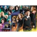 Puzzle Harry Potter 1000 el. Świat czarodziejów 10668