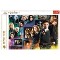 Puzzle Harry Potter 1000 el. Świat czarodziejów 10668